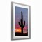 Stupell Industries Arizona Cactus at Sunset Framed Print Under Glass, design by Jeff Poe Photography